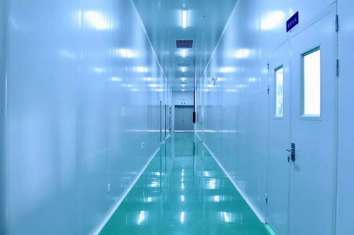 科技賦能 銀離子抗菌技術(shù)如何提升運動品牌競爭力